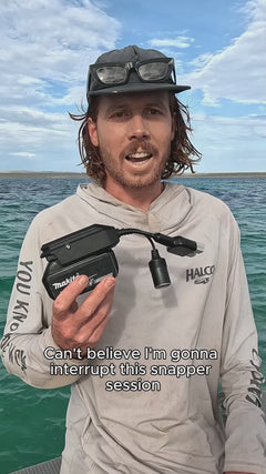 Watch the video